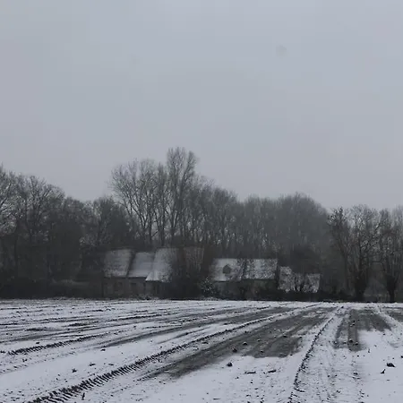 Dielpenhof
